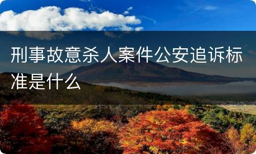 刑事故意杀人案件公安追诉标准是什么