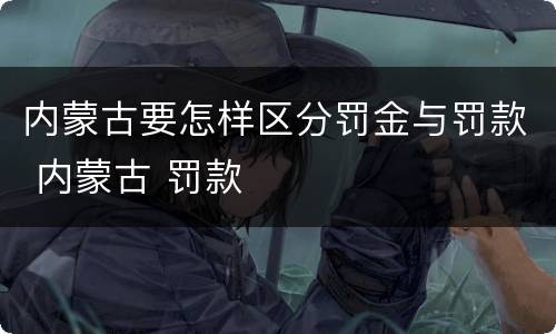 内蒙古要怎样区分罚金与罚款 内蒙古 罚款