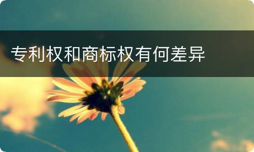 专利权和商标权有何差异