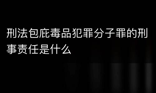 刑法包庇毒品犯罪分子罪的刑事责任是什么
