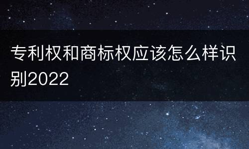 专利权和商标权应该怎么样识别2022