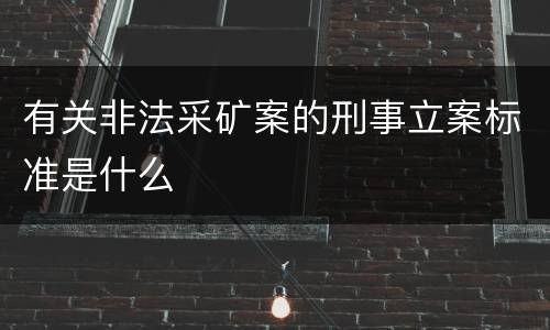 有关非法采矿案的刑事立案标准是什么