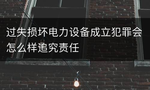 过失损坏电力设备成立犯罪会怎么样追究责任