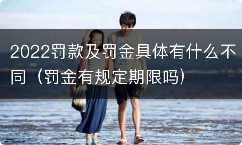 2022罚款及罚金具体有什么不同（罚金有规定期限吗）