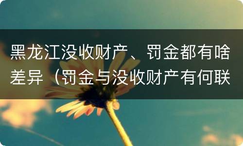 黑龙江没收财产、罚金都有啥差异（罚金与没收财产有何联系和区别?）