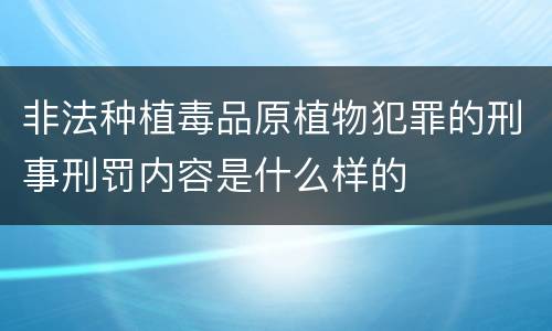 非法种植毒品原植物犯罪的刑事刑罚内容是什么样的