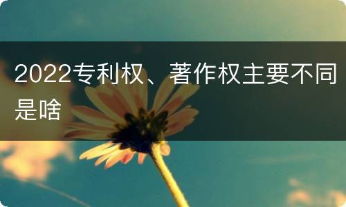 2022专利权、著作权主要不同是啥