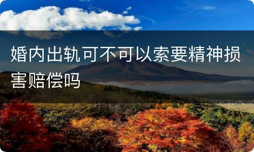 婚内出轨可不可以索要精神损害赔偿吗