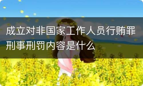 成立对非国家工作人员行贿罪刑事刑罚内容是什么