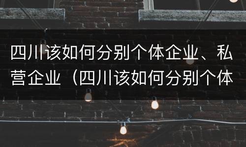 四川该如何分别个体企业、私营企业（四川该如何分别个体企业,私营企业有哪些）