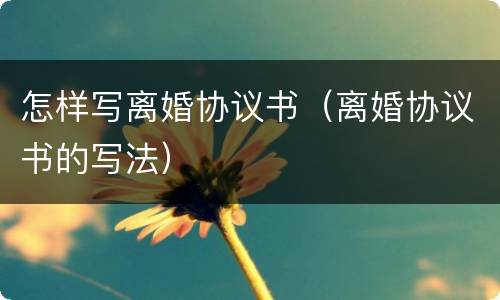 怎样写离婚协议书（离婚协议书的写法）