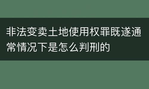 非法变卖土地使用权罪既遂通常情况下是怎么判刑的
