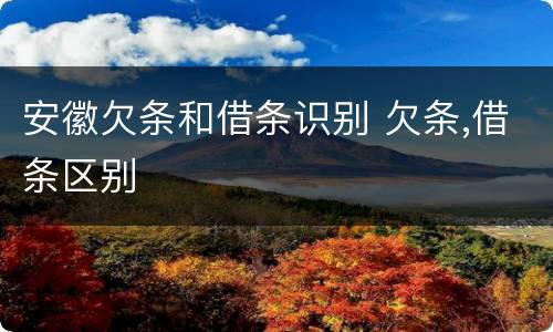 安徽欠条和借条识别 欠条,借条区别