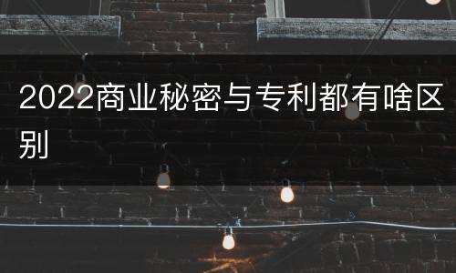 2022商业秘密与专利都有啥区别