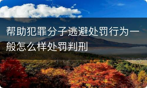 帮助犯罪分子逃避处罚行为一般怎么样处罚判刑