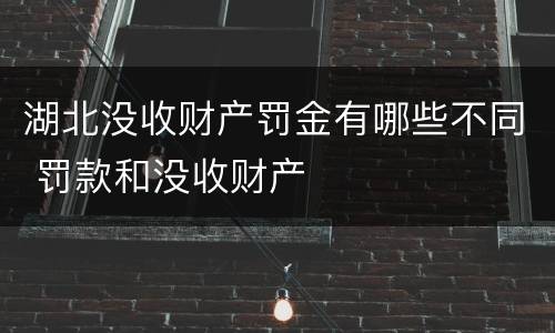 湖北没收财产罚金有哪些不同 罚款和没收财产