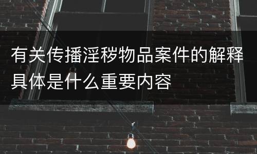 有关传播淫秽物品案件的解释具体是什么重要内容