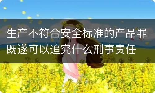 生产不符合安全标准的产品罪既遂可以追究什么刑事责任