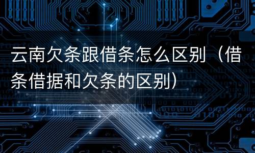 云南欠条跟借条怎么区别（借条借据和欠条的区别）