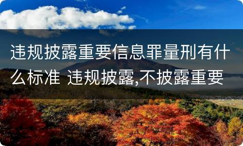 违规披露重要信息罪量刑有什么标准 违规披露,不披露重要信息罪的立案标准