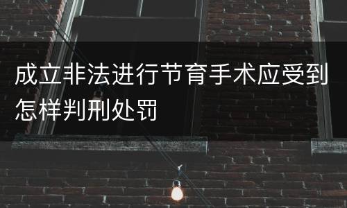 成立非法进行节育手术应受到怎样判刑处罚