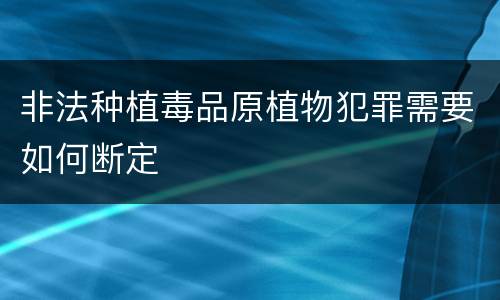 非法种植毒品原植物犯罪需要如何断定