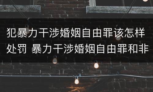 犯暴力干涉婚姻自由罪该怎样处罚 暴力干涉婚姻自由罪和非法拘禁罪