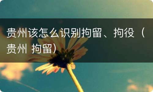 贵州该怎么识别拘留、拘役（贵州 拘留）