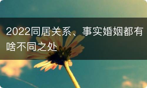 2022同居关系、事实婚姻都有啥不同之处
