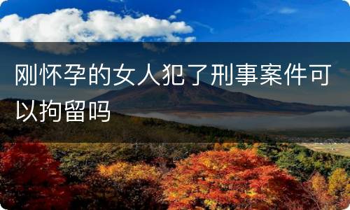 刚怀孕的女人犯了刑事案件可以拘留吗