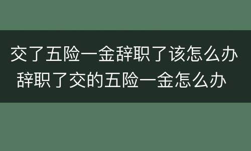 交了五险一金辞职了该怎么办 辞职了交的五险一金怎么办