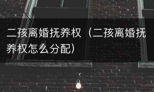 二孩离婚抚养权（二孩离婚抚养权怎么分配）