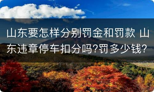 山东要怎样分别罚金和罚款 山东违章停车扣分吗?罚多少钱?