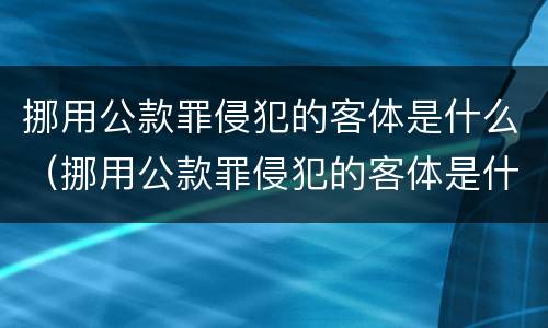 挪用公款罪侵犯的客体是什么（挪用公款罪侵犯的客体是什么行为）
