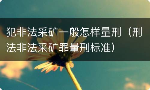 犯非法采矿一般怎样量刑（刑法非法采矿罪量刑标准）