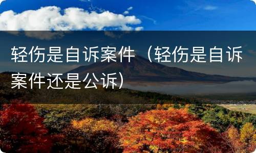 轻伤是自诉案件（轻伤是自诉案件还是公诉）