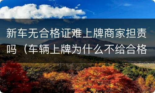 新车无合格证难上牌商家担责吗（车辆上牌为什么不给合格证）