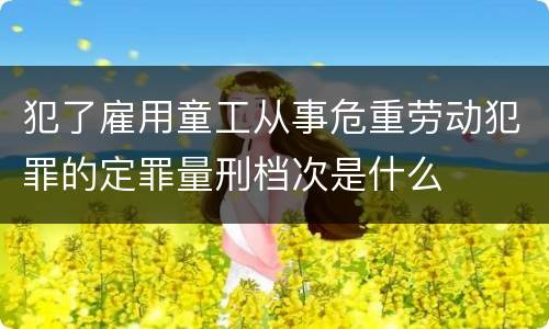 犯了雇用童工从事危重劳动犯罪的定罪量刑档次是什么