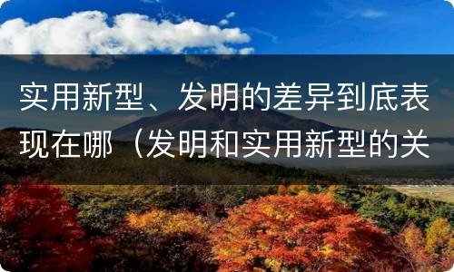 实用新型、发明的差异到底表现在哪（发明和实用新型的关系）