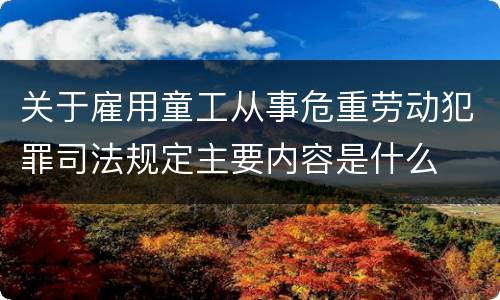 关于雇用童工从事危重劳动犯罪司法规定主要内容是什么