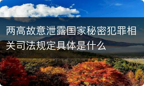 两高故意泄露国家秘密犯罪相关司法规定具体是什么