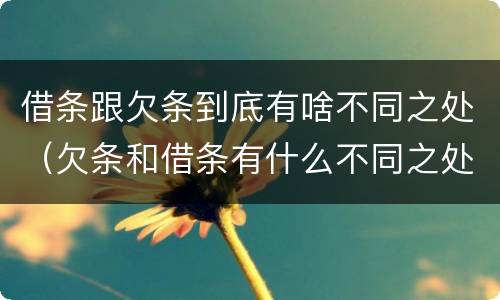 借条跟欠条到底有啥不同之处（欠条和借条有什么不同之处）