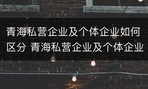 青海私营企业及个体企业如何区分 青海私营企业及个体企业如何区分呢