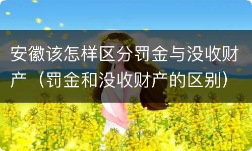 安徽该怎样区分罚金与没收财产（罚金和没收财产的区别）