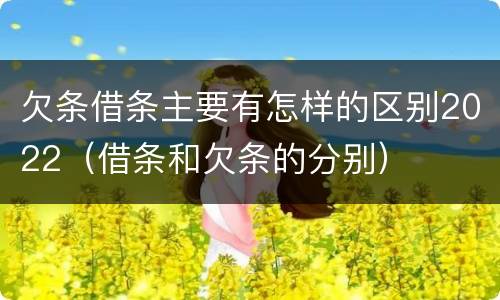 欠条借条主要有怎样的区别2022（借条和欠条的分别）