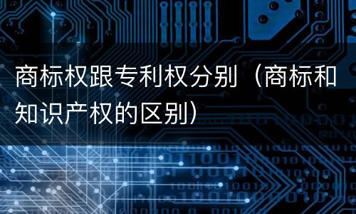 商标权跟专利权分别（商标和知识产权的区别）