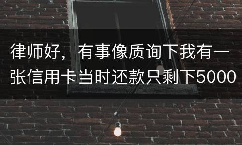 律师好，有事像质询下我有一张信用卡当时还款只剩下5000现在升到20000怎么办