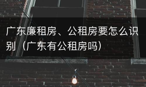 广东廉租房、公租房要怎么识别（广东有公租房吗）