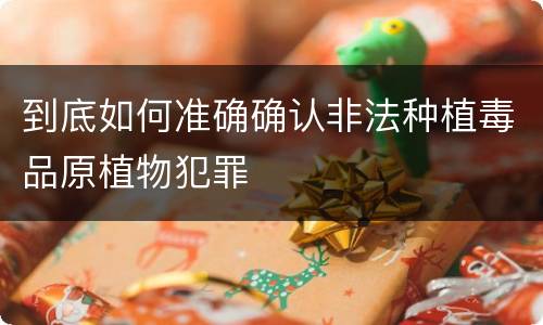 到底如何准确确认非法种植毒品原植物犯罪