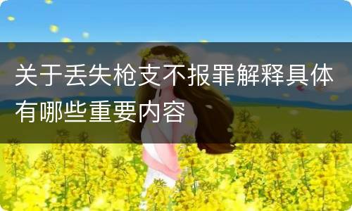 关于丢失枪支不报罪解释具体有哪些重要内容